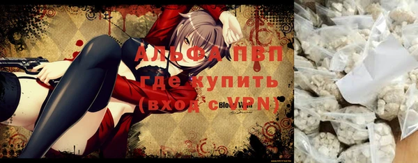 гидра Михайловск