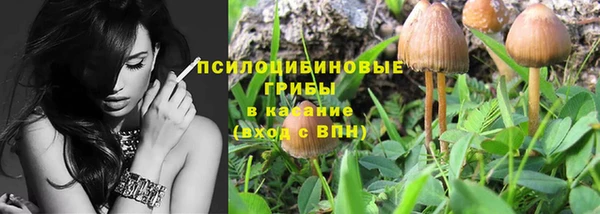 гидра Михайловск