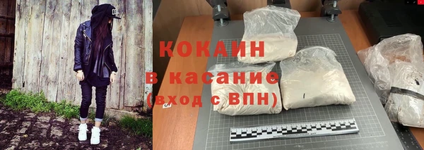 гидра Михайловск