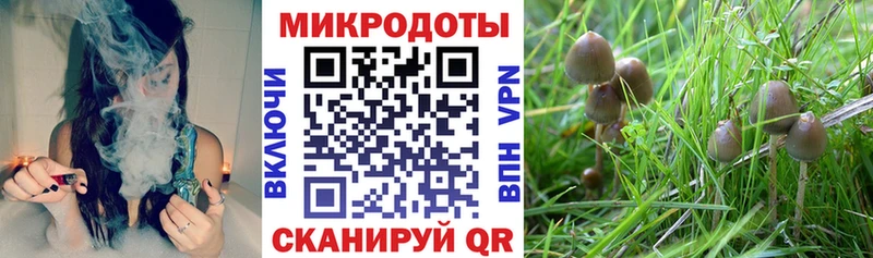 Галлюциногенные грибы прущие грибы  ОМГ ОМГ зеркало  Ясногорск  закладки 